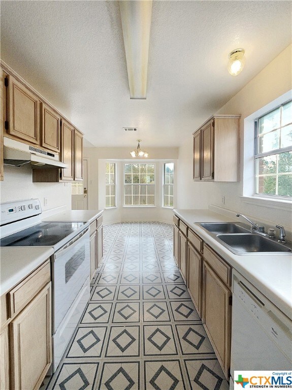 306 Rodeo Cir, Copperas Cove, TX 76522 - photo 4