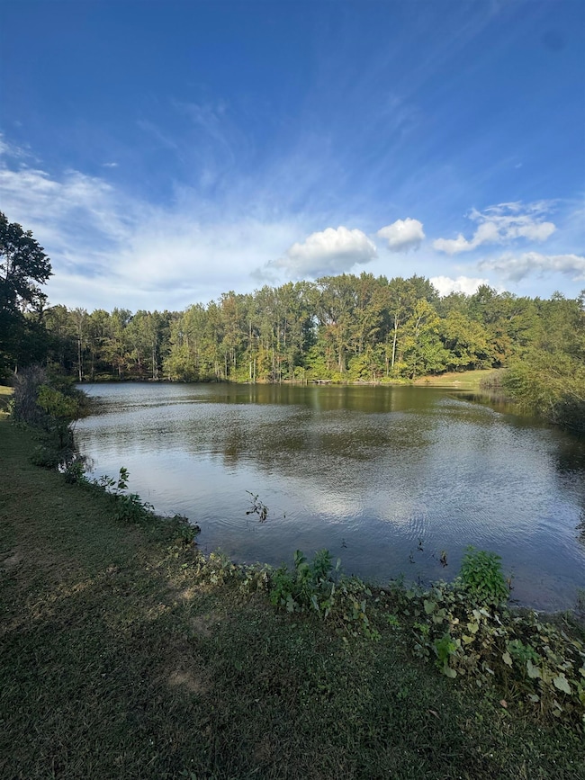 7050 Locke Rd, Millington, TN 38053 - photo 5