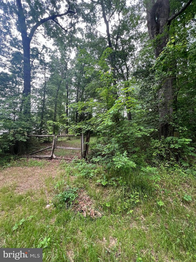 0 Albrough Blvd unit VAWE2006714, Colonial Beach, VA 22443 - photo 3