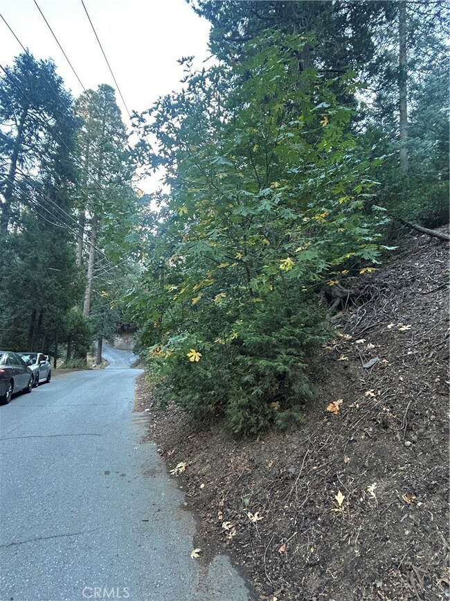 0 Nesthorn Dr unit DW25193576, Crestline, CA 92325 - photo 2