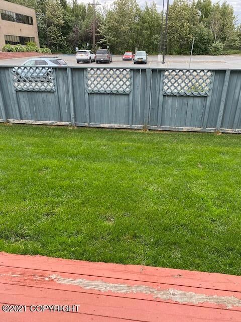 back yard