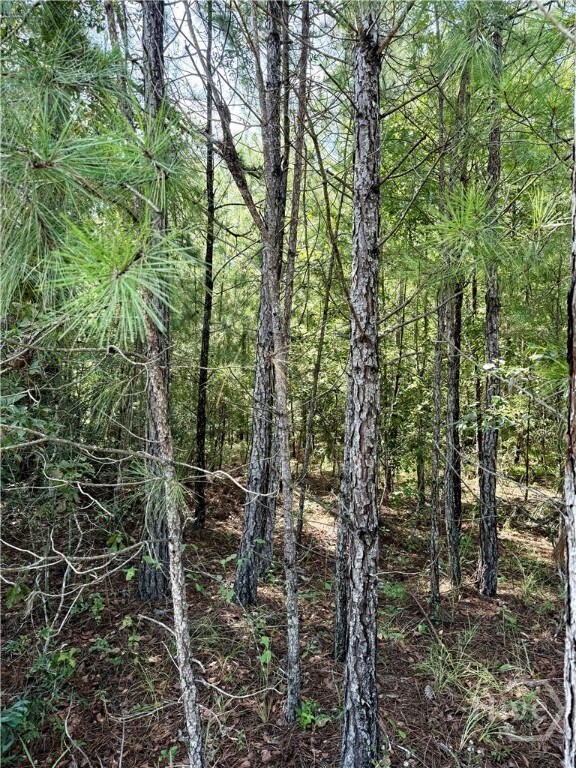 0 Best Bridge Rd unit SA336787, Sylvania, GA 30467 - photo 3