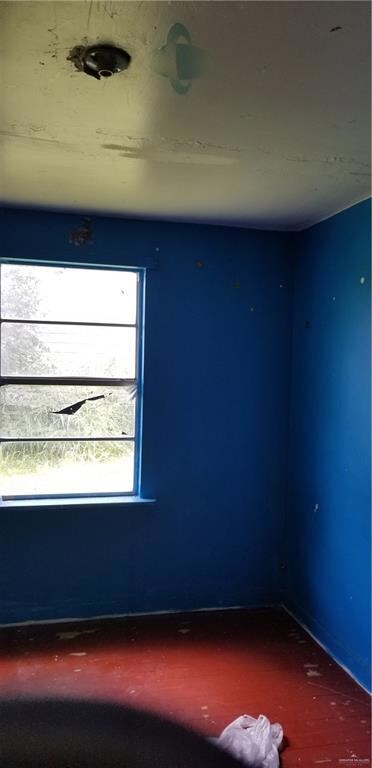 823 S Fm 493, Donna, TX 78537 - photo 5