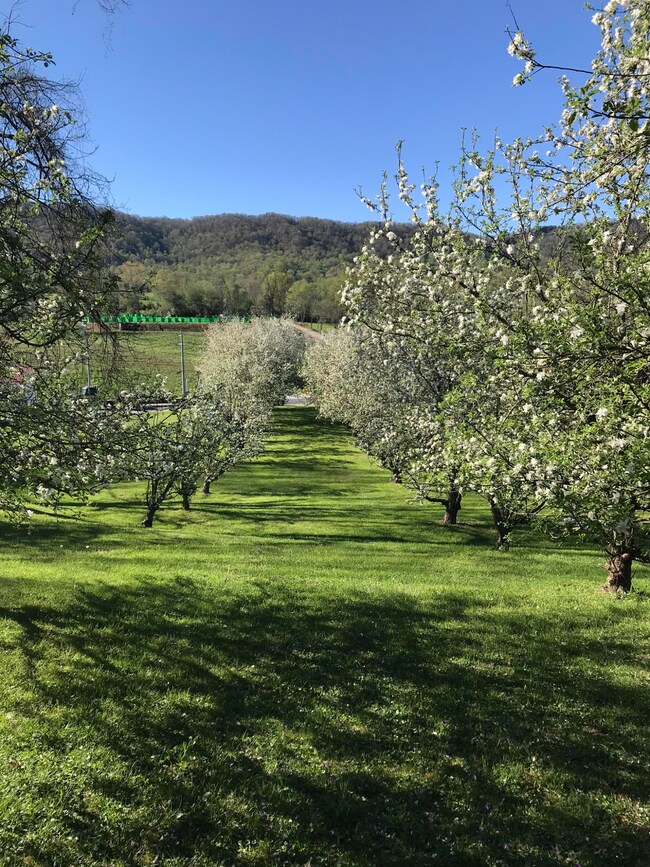 C86F1BBB-58A2-45EC-8C50-A7BC9E69E7E5