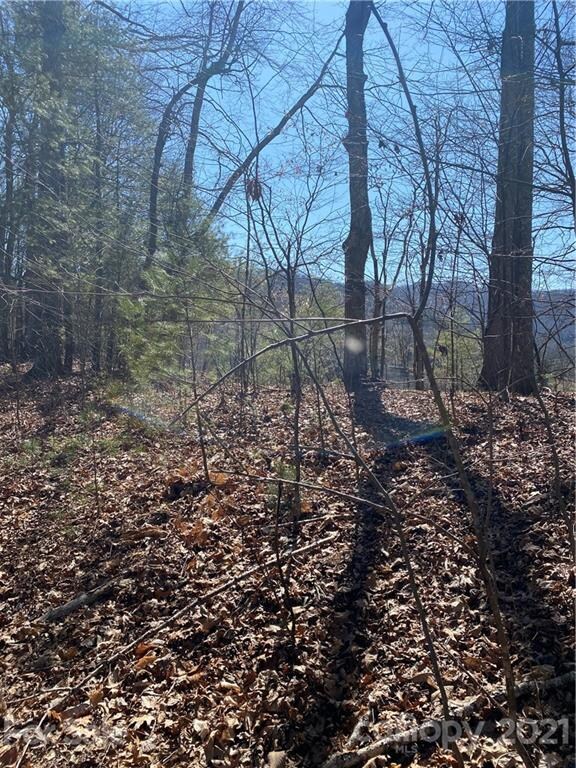 Lot 7 Riverside Hills Rd unit 7, Burnsville, NC 28714 - photo 5