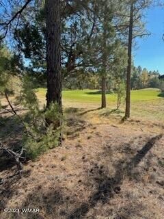 Lot to Fairway