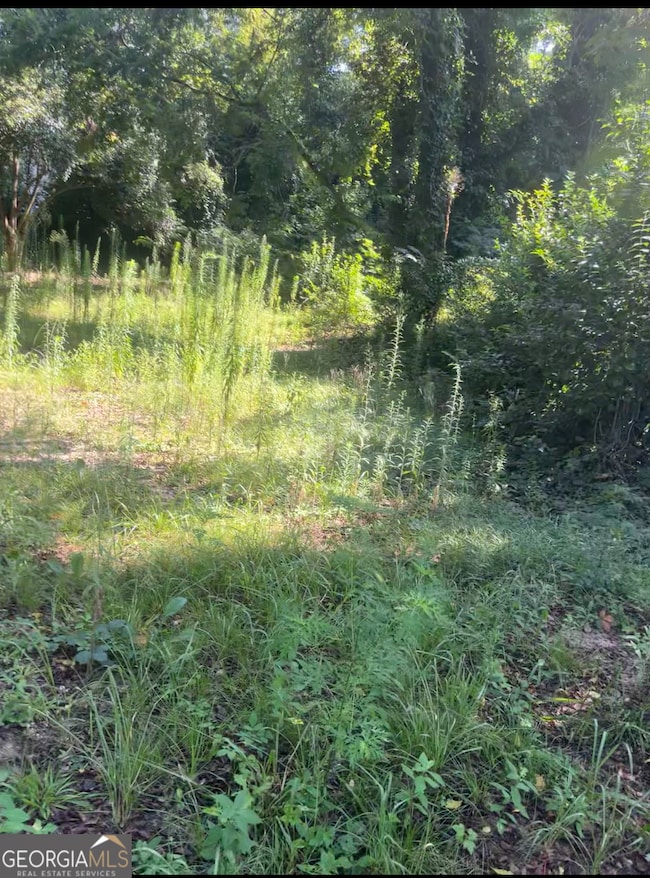 373 Gaillard St, Macon, GA 31204 - photo 2