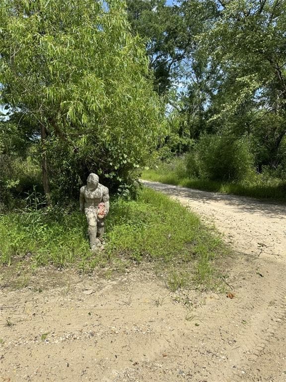 Lot 59 Fletchers Isle Rd, Ponchatoula, LA 70454 - photo 2