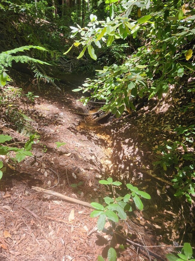 0 Lost Valley Rd unit ML82027788, Los Gatos, CA 95033 - photo 4