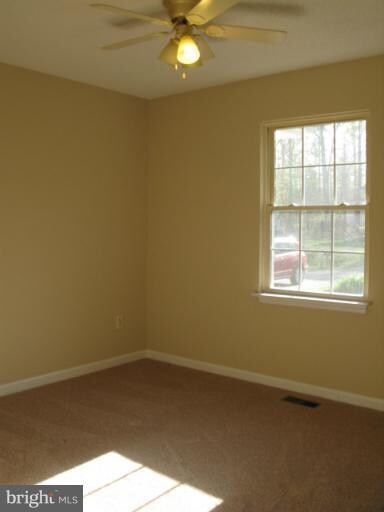 740 Canterbury Dr, Ruther Glen, VA 22546 - photo 4