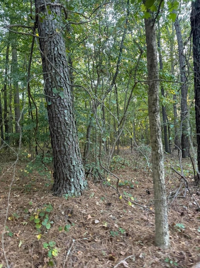 00 Gaines Rd SE, Dalton, GA 30721 - photo 3