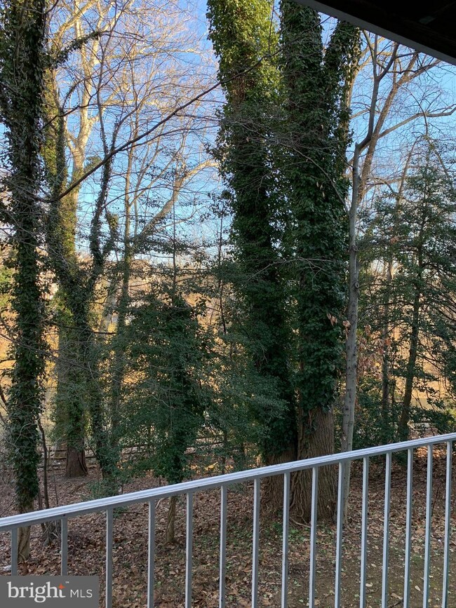 2054 Quaker Way, Annapolis, MD 21401 - photo 7