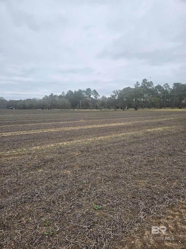 23111 Harden Ln, Summerdale, AL 36580 - photo 5