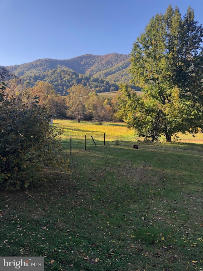 1463 Quaker Run Rd, Banco, VA 22711 - photo 3