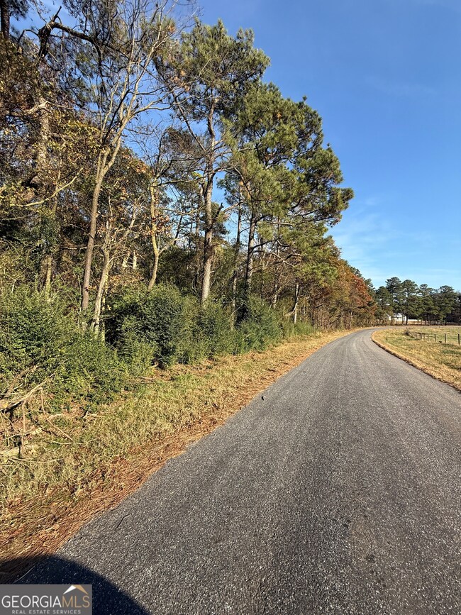 0 Wheeler Cemetery Rd unit 10647289, Maysville, GA 30558 - photo 2