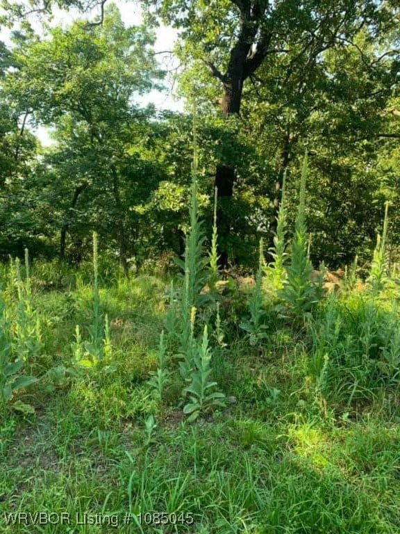 105133 S 4570 Rd, Vian, OK 74962 - photo 5