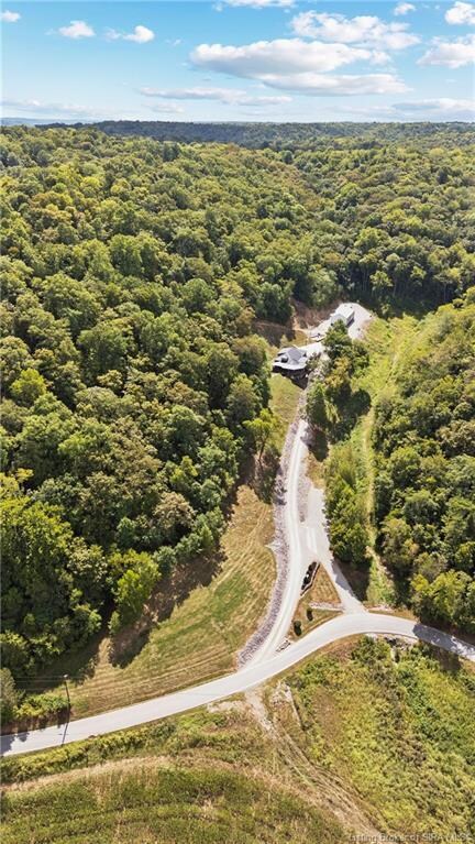 691 Locust Rd, Carrollton, KY 41008 - photo 7