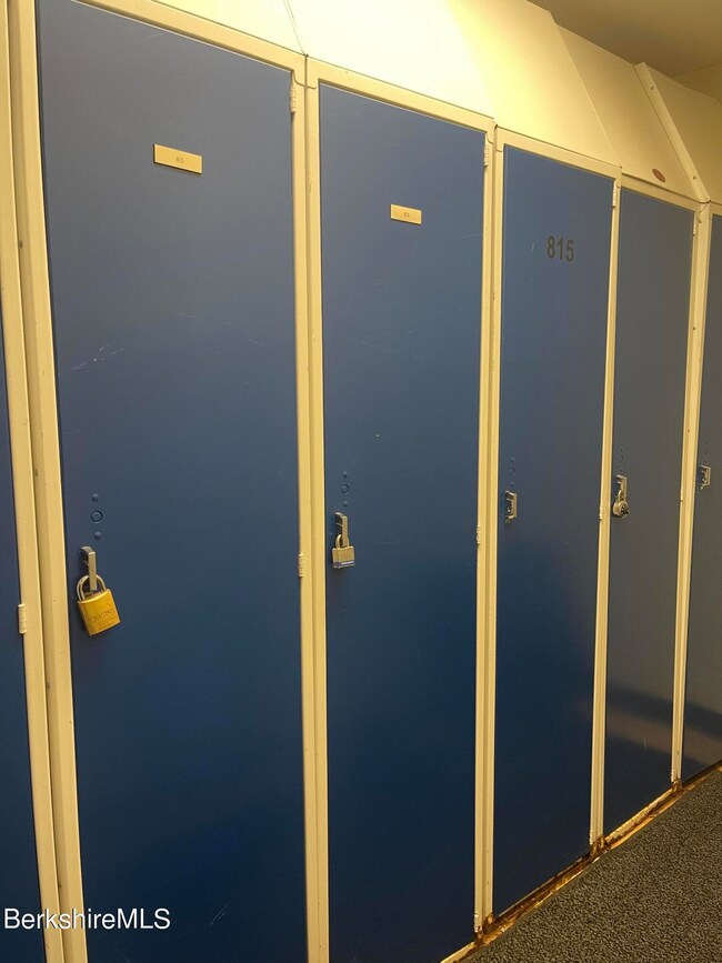 Private Ski Locker