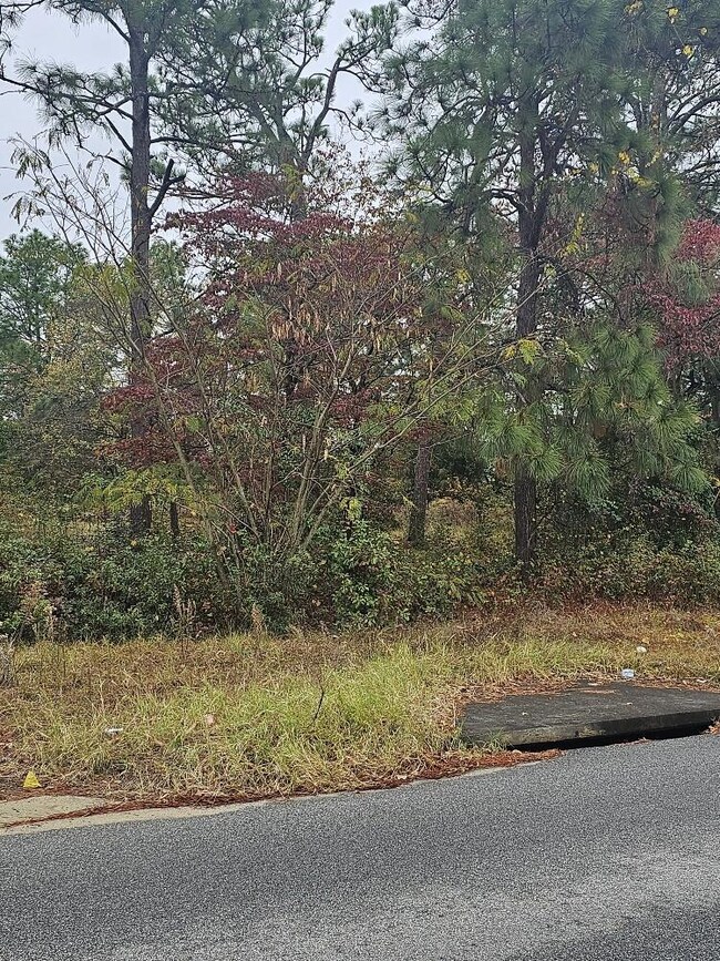 2307 Boykin Rd, Augusta, GA 30906 - photo 2