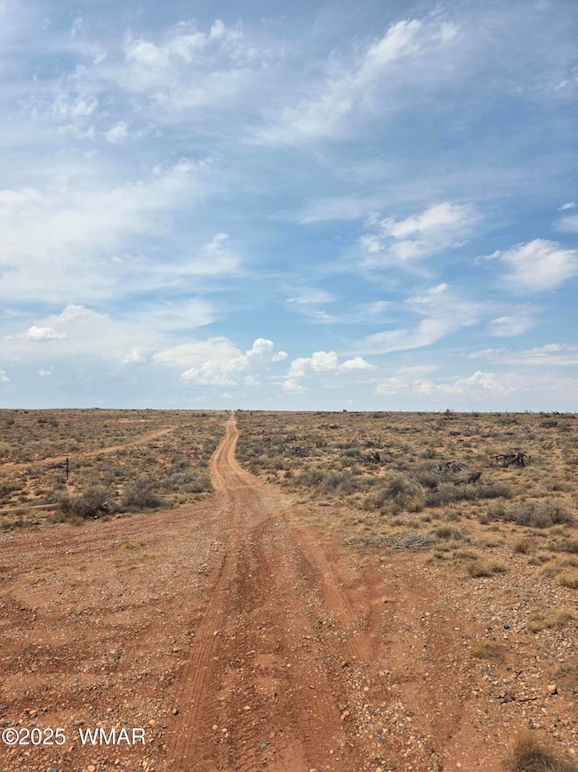 8317 Buckskin Trail, Snowflake, AZ 85937 - photo 3