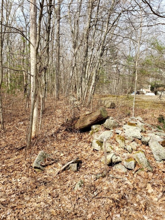 0 Paris Irons Rd, Glocester, RI 02814 - photo 3