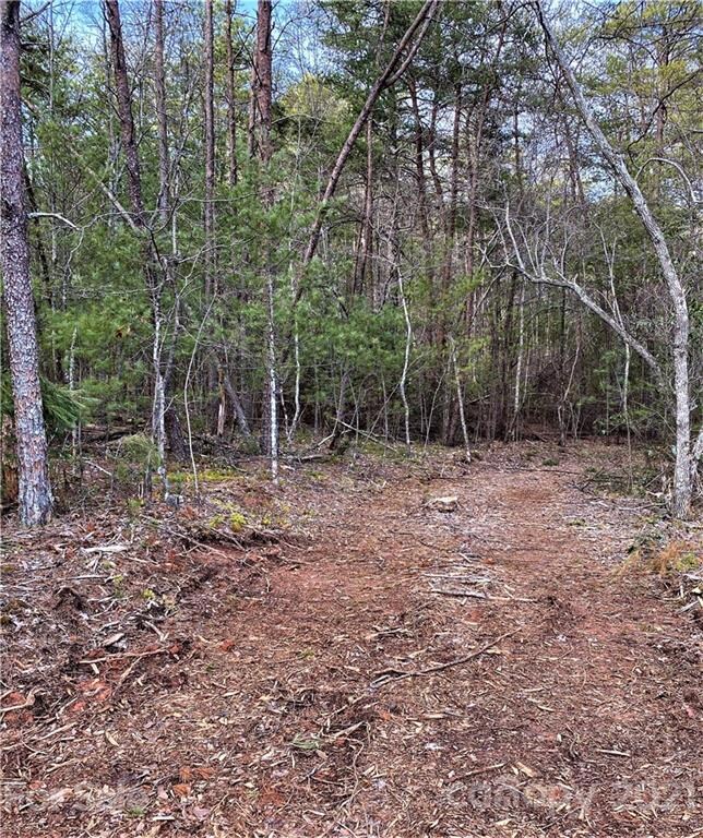 Cleared walking trails beckon hikers to stroll through lovely forests