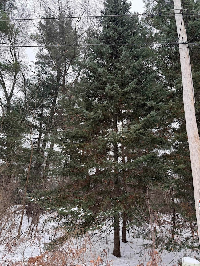 2007 Bloedel Ave, Weston, WI 54476 - photo 5