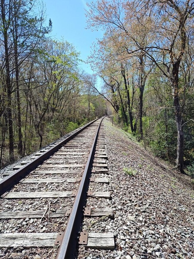 Tennessee Valley Railroad