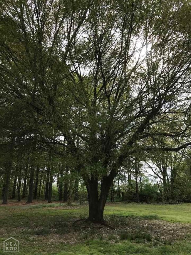 179 County Road 110, Jonesboro, AR 72404 - photo 6