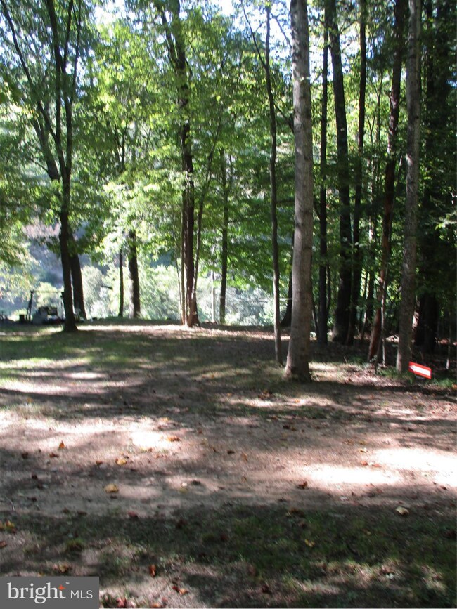 0 Golladay Ln unit WVMO116900, Great Cacapon, WV 25422 - photo 3