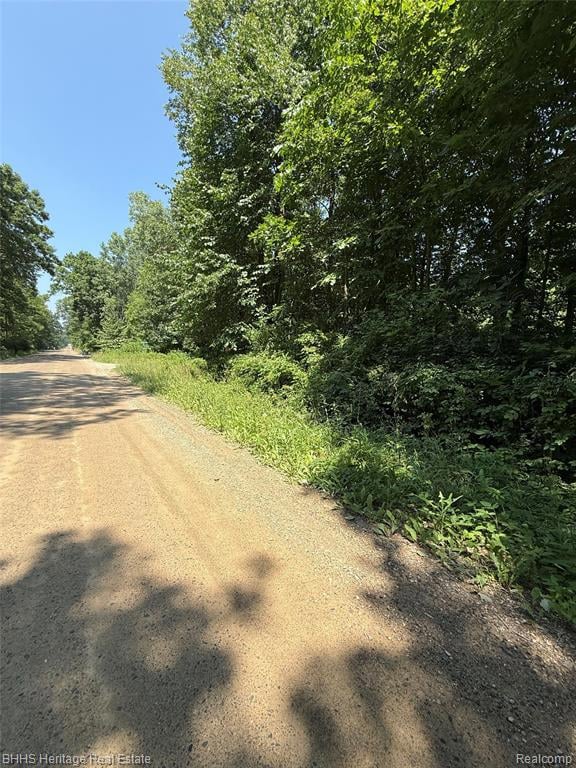 5550 Fisher Rd, Oceola Township, MI 48855 - photo 2