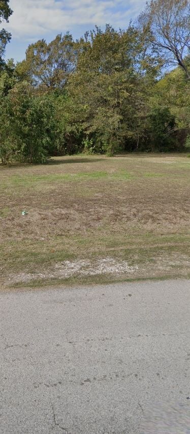 0 Sunnyhill unit 51240240, Houston, TX 77088 - photo 3