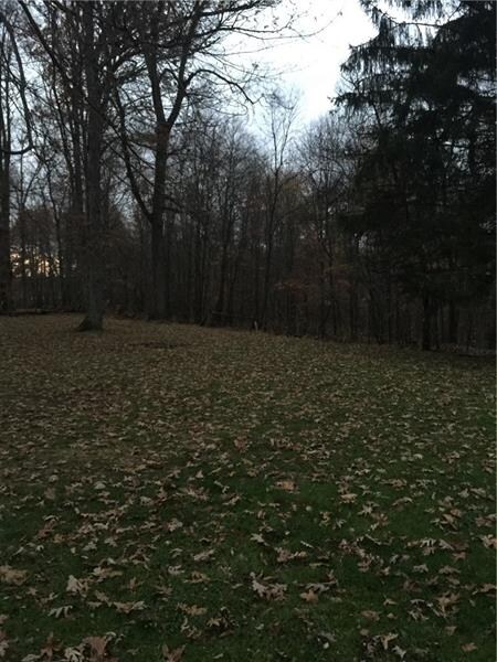 2712 High Hill Rd, Pulaski, PA 16143 - photo 4