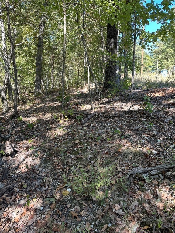 0 Pickering Dr unit 1230504, Bella Vista, AR 72714 - photo 6