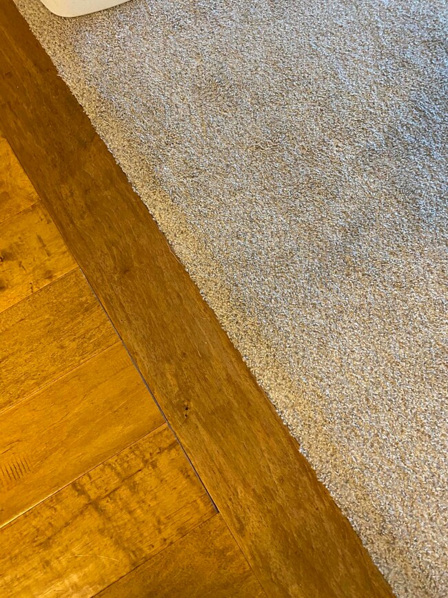 wood and newer carpet