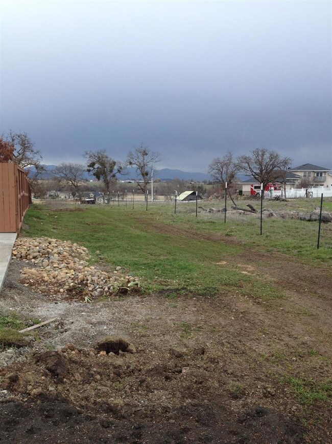 Additional Photo