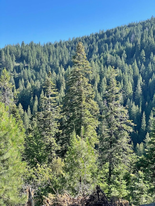 Tbd 80 W Fork Creek Rd, Cascade, ID 83611 - photo 5