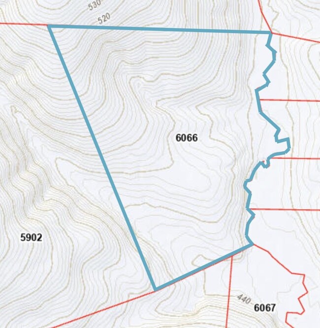 350 Alston Horton Service Rd, Pittsboro, NC 27312 - photo 3