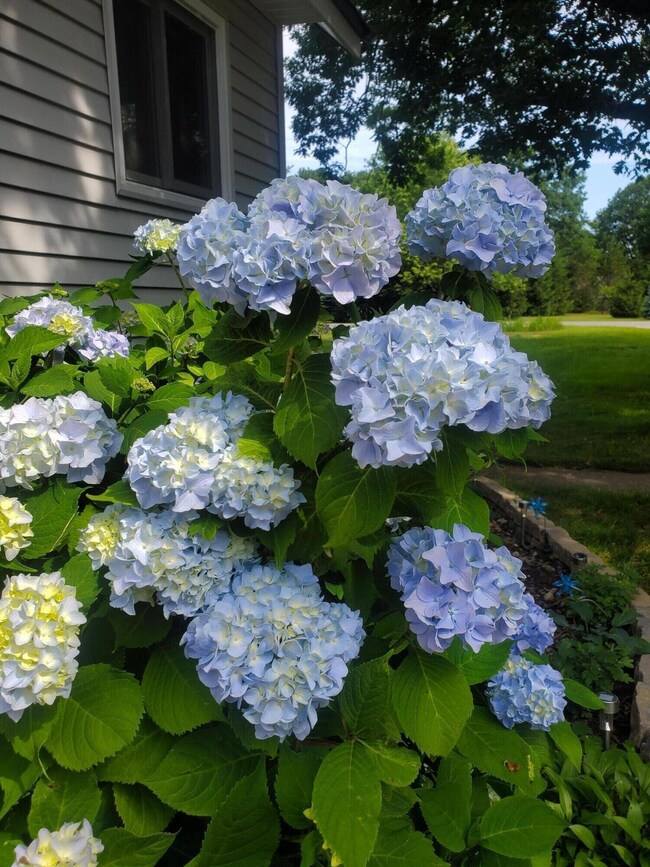 2913 County Line Rd W, Manistee, MI 49660 - photo 6