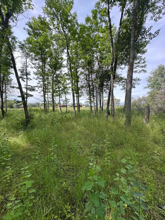 17415 E Pine Dr NW, Angle Inlet, MN 56711 - photo 3