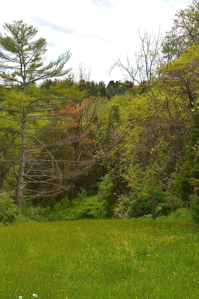 Land View