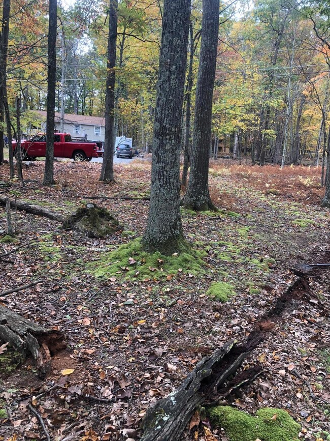 114 Falling Brook Ct, Blooming Grove Township, PA 18428 - photo 6