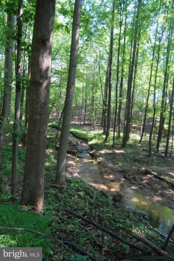 5713 Etzler Rd, Frederick, MD 21702 - photo 2