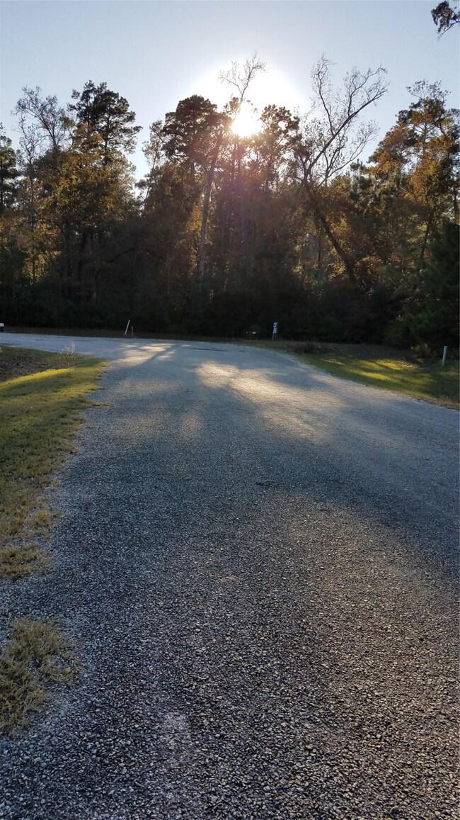 44 Firewood Rd, Huntsville, TX 77340 - photo 2