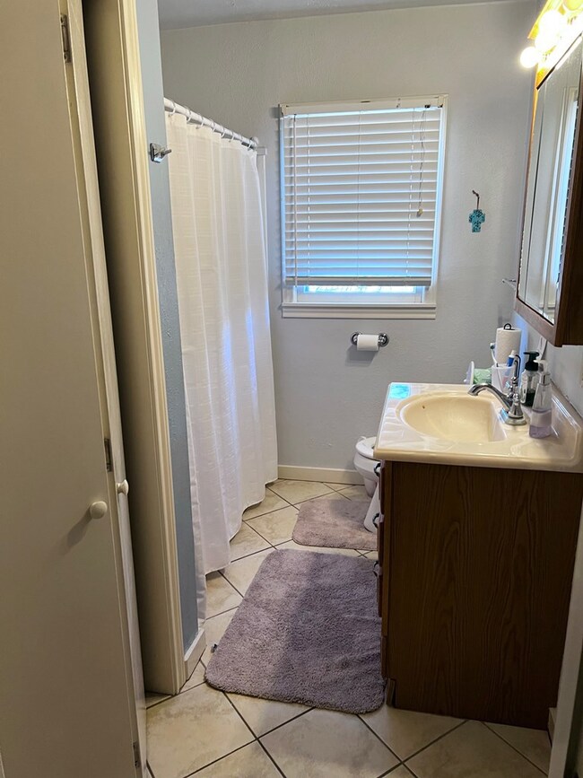 108 W Mulberry St, Fredericksburg, TX 78624 - photo 6