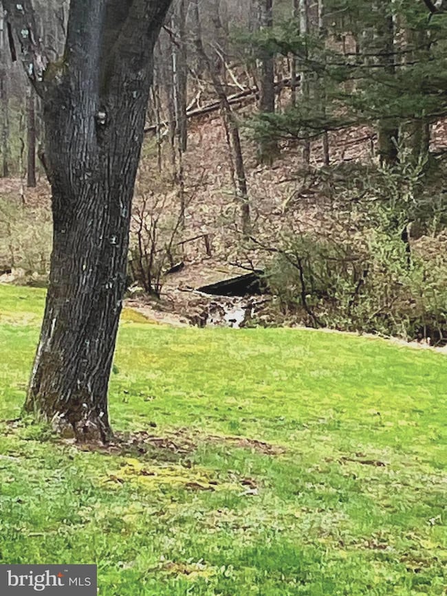 674 Wasamud Ln, Warfordsburg, PA 17267 - photo 4