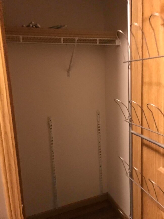 Entryway Closet