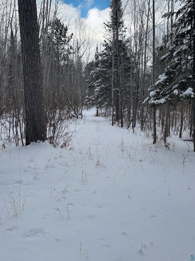 000 Campbell Rd, Clover, WI 54844 - photo 7