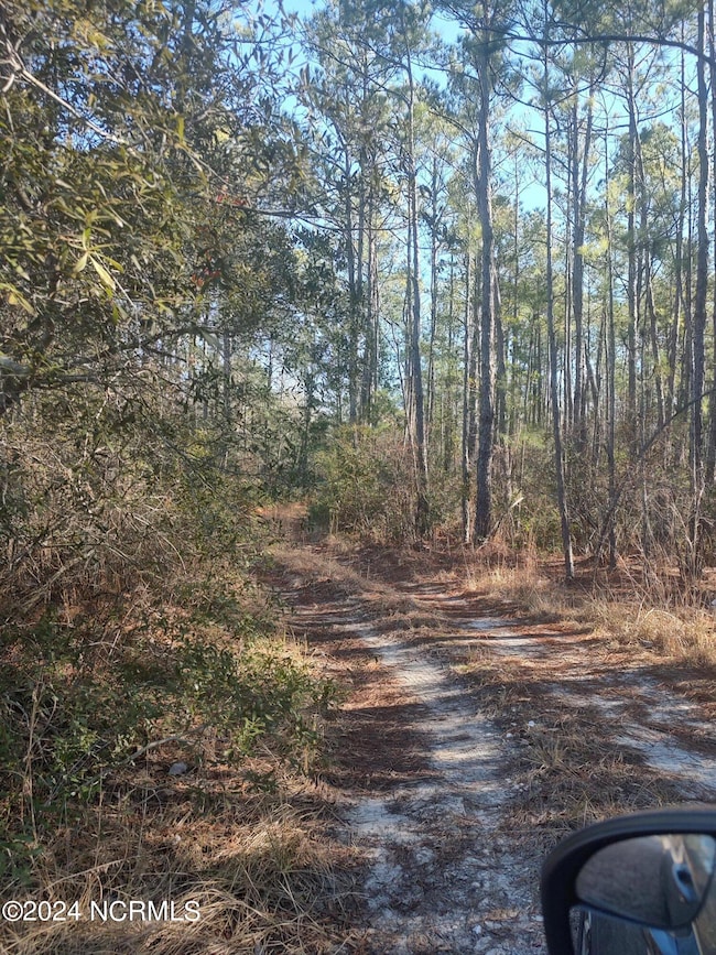 0 Irvine Trail NE, Winnabow, NC 28451 - photo 2