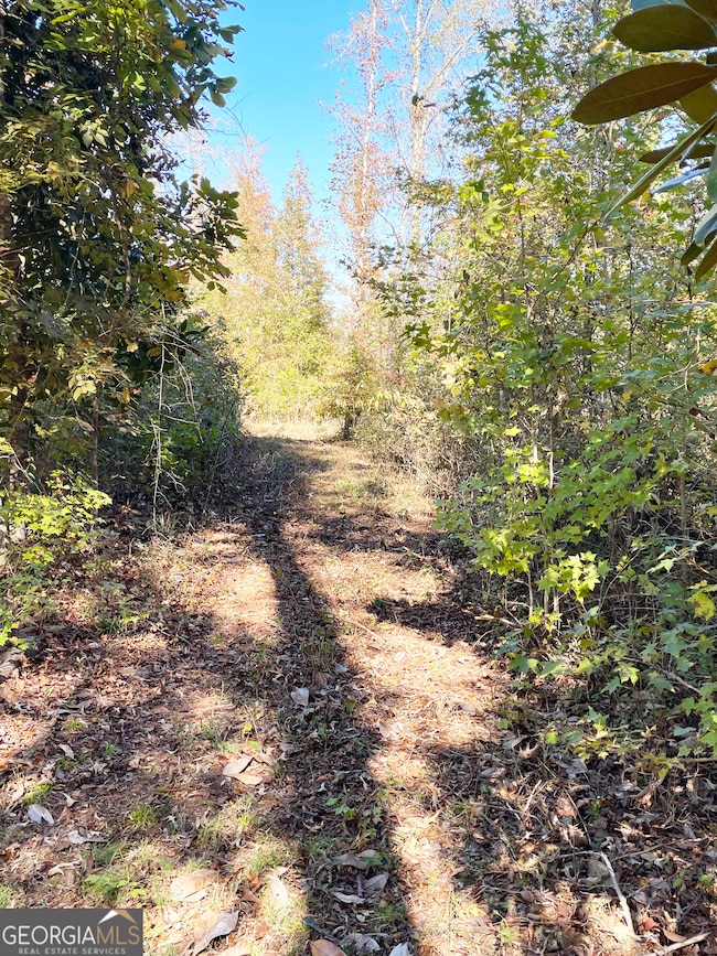 0 Highway 36 E unit 10652520, Jackson, GA 30233 - photo 3